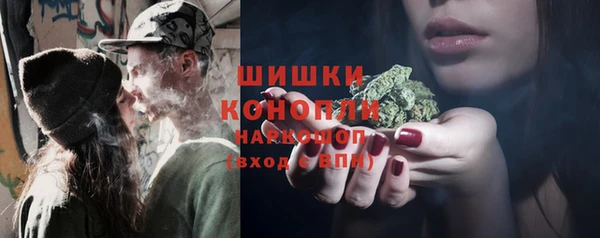 ECSTASY Богданович