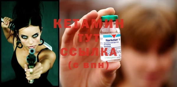 шишки Белокуриха