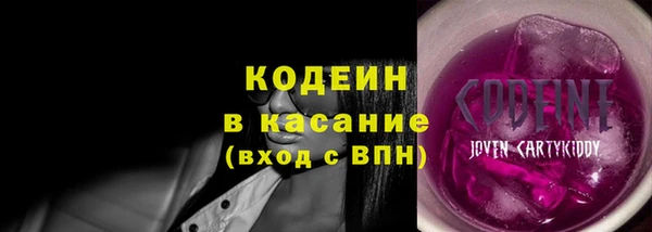 ECSTASY Богданович