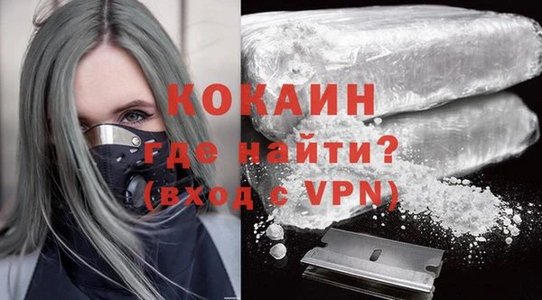 шишки Белокуриха