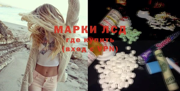 ECSTASY Богданович