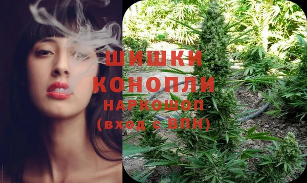 шишки Белокуриха