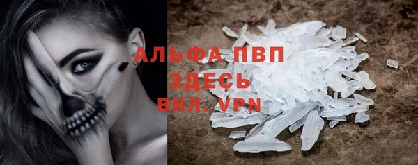 шишки Белокуриха
